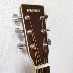 【美品】Morris MD-528 アコースティックギターの画像