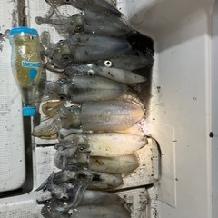 釣り好き募集中 − 広島県