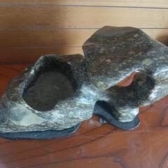 おきもの🗿の画像