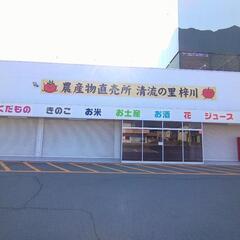 出店者募集！ 9月28日 松本市 清流の里 メダカ＆金魚即…