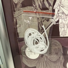 ONE PIECE ワンピース A全アートポスター　ルフィ&シャンクス 額入りの画像