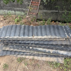 あぜいたの画像