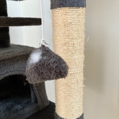 キャットタワーの画像