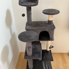 キャットタワーの画像