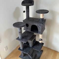 キャットタワーの画像