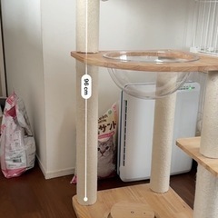 キャットタワーの画像