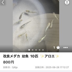 サムネイル