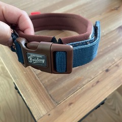 EZYDOG ネオカラークラシック　犬用首輪　  の画像