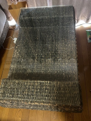 ウォーターヒヤシンス マックス社