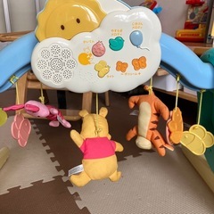 メリーの画像