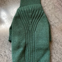 犬　猫　グリーンニット服の画像