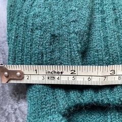 犬　猫　グリーンニット服の画像