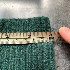 犬　猫　グリーンニット服の画像