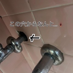 【明石市発】ゴキブリ駆除・害虫駆除・害獣駆除 承ります！2…