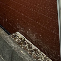 【明石市発】ゴキブリ駆除・害虫駆除・害獣駆除 承ります！24時間対応 − 兵庫県