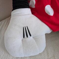 ビッグなミニーちゃんの画像