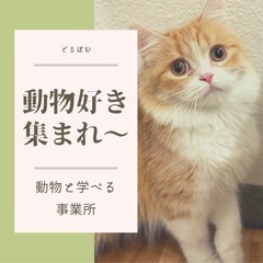 犬猫専門‼︎就労継続支援B型事業所