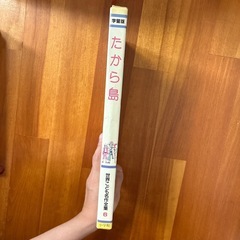 10/15までに貰い手がなければ処分します！世界こども名作全集6『たから島』の画像