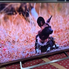 在庫整理〜格安SONY BRAVIA KJ-43X8000E 超美品②の画像