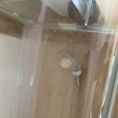 飼育ケース グラスハーモニー 600Nの画像