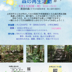 小さなことからできる森の再生活動🌿