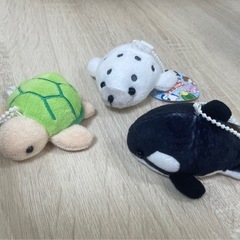 人気の海の動物ぬいぐるみ　マスコットBCⅢ ３点セット シャチ アザラシ カメの画像