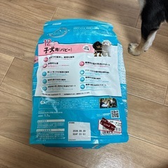 ドックフード パピー用の画像