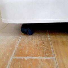 ペットサークル　ペットゲージ　わんちゃんの画像