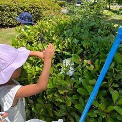 9月のゴミ拾いボランティア募集😊