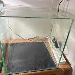 GEX 30センチガラスキューブ水槽の画像