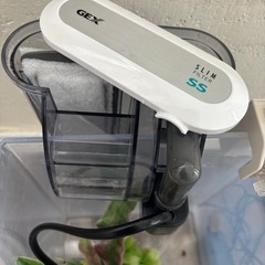 小型スクエア水槽セット　の画像