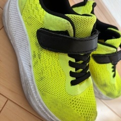 19センチの靴の画像