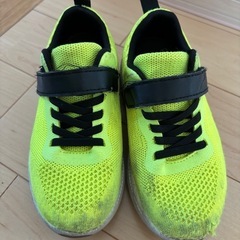 19センチの靴