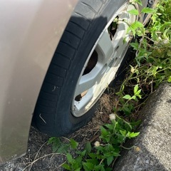ムーヴの画像