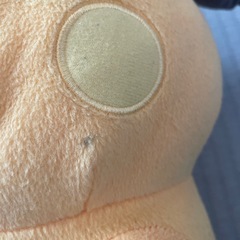 ライチュウのぬいぐるみの画像
