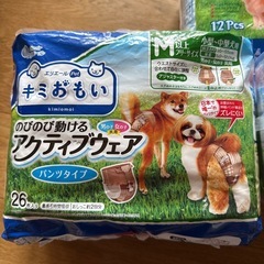 【差し上げます】犬用おむつセットの画像