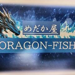 めだか販売☆オール1000円☆