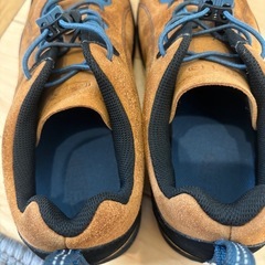 22センチの靴の画像