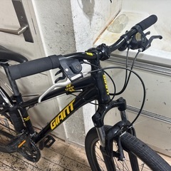GIANT SNAP ジャイアントスナップマウンテンバイクの画像