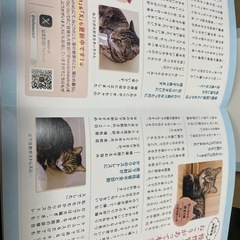 necuri 猫おやつ 健康志向の画像