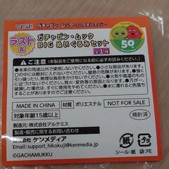 ☆【美品】ガチャピン・ムック 50周年記念くじ ラスト賞 BIGぬいぐるみセットの画像