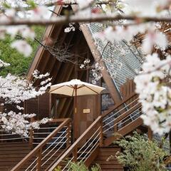 キッチンスタッフ(未経験歓迎)の画像