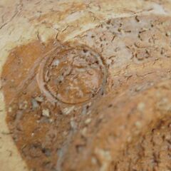 萩焼 天龍 茶碗 口径13×高さ8.5cm ベージュ系 煎茶道具 茶道具 茶器 食器 札幌市 清田区 平岡の画像