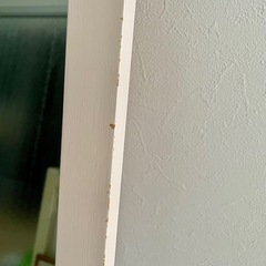 【無印】全身ミラー（DYIで色変更）の画像