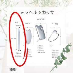 テラヘルツカッサ 棒型 未開封品の画像