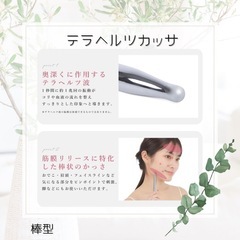 テラヘルツカッサ 棒型 未開封品の画像