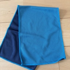 クールタオルの画像