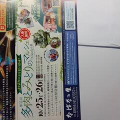 なばなの里入村チケットの画像