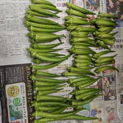採れたて無農薬新鮮野菜の画像