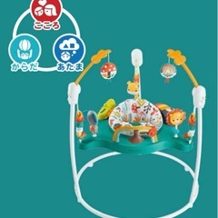 ほぼ未使用 フィッシャープライス　fisher price ゆかいなレインボーフォレストジャンパルーの画像